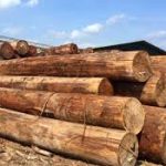 wood