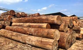 wood